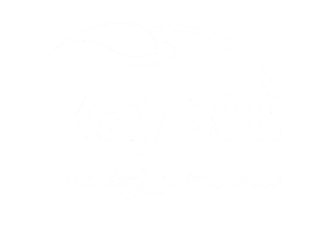 KayBee Mangoes